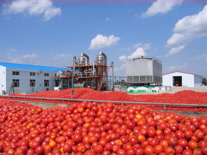 Arkhum (Tianjin) Health Technology Co., Ltd. خط تولید سازنده
